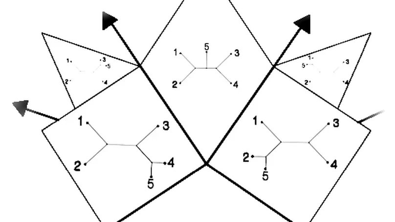 A Combinatorial Method for Connecting BHV Spaces Representing Different Numbers of Taxa